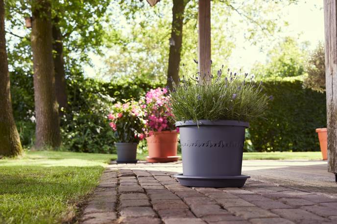 algarve cilindro 35cm anthracite